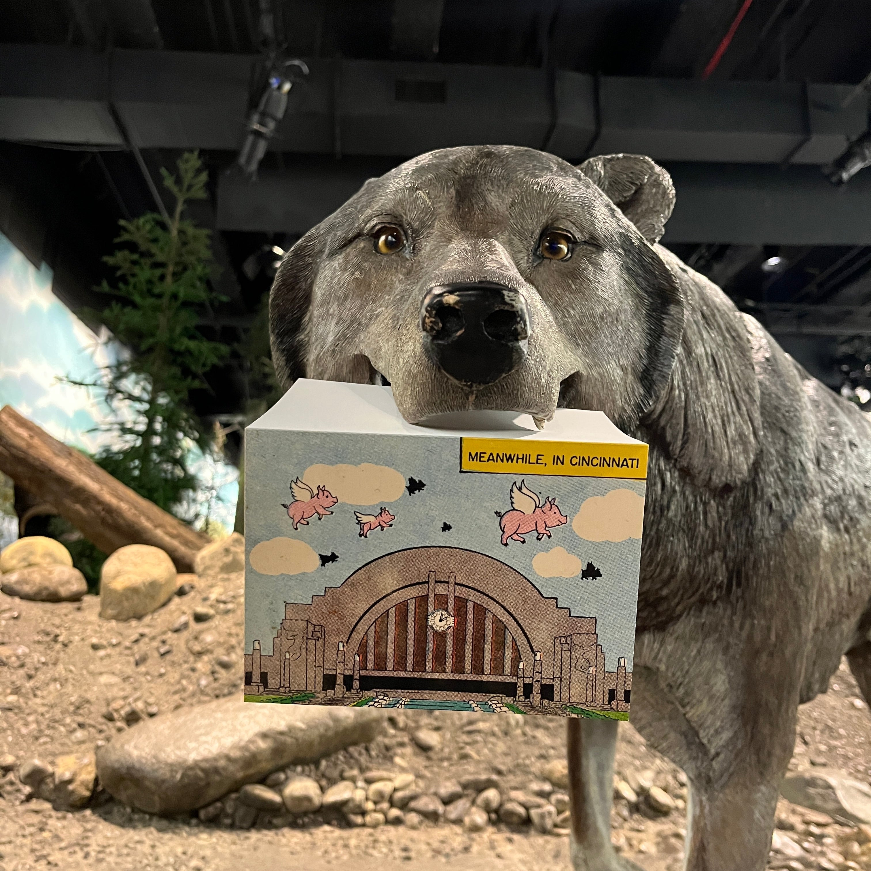 Cincinnati Union Terminal Flying Pig Greeting Card